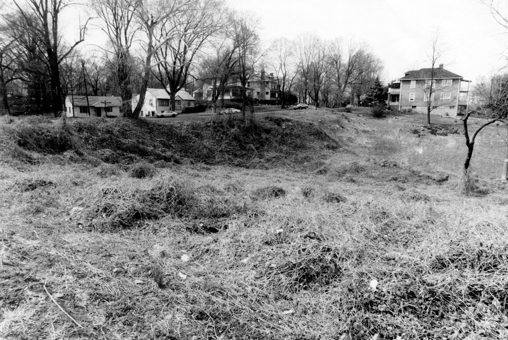 Woodland Heights